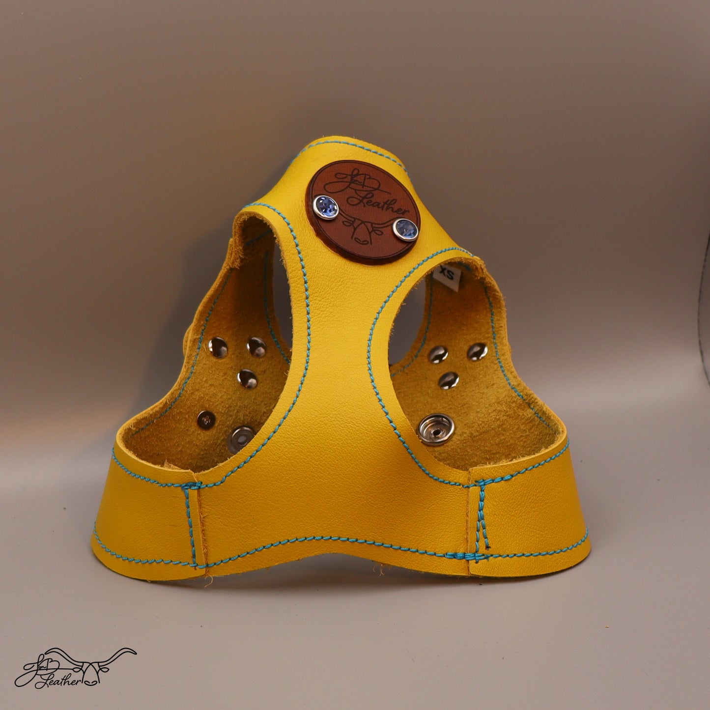 Sport Pet / Dog Harness