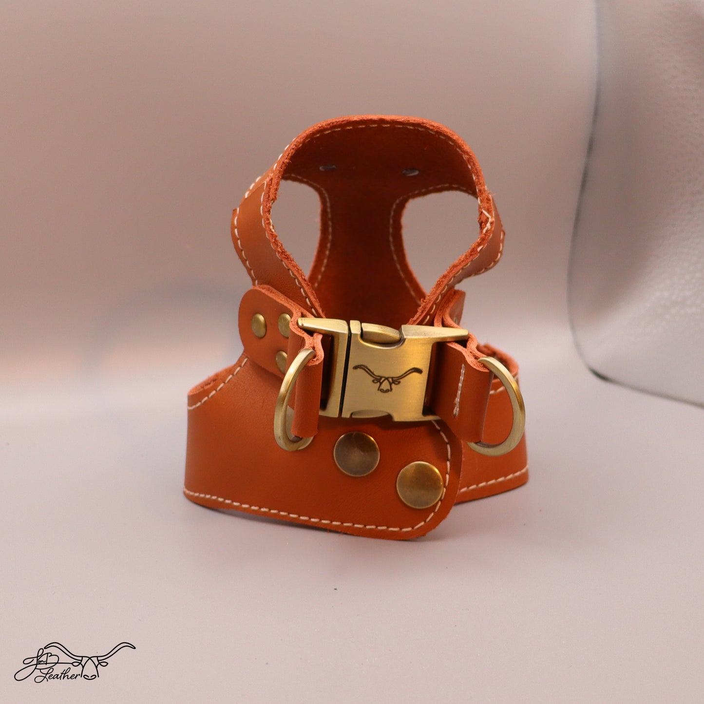 Sport Pet / Dog Harness