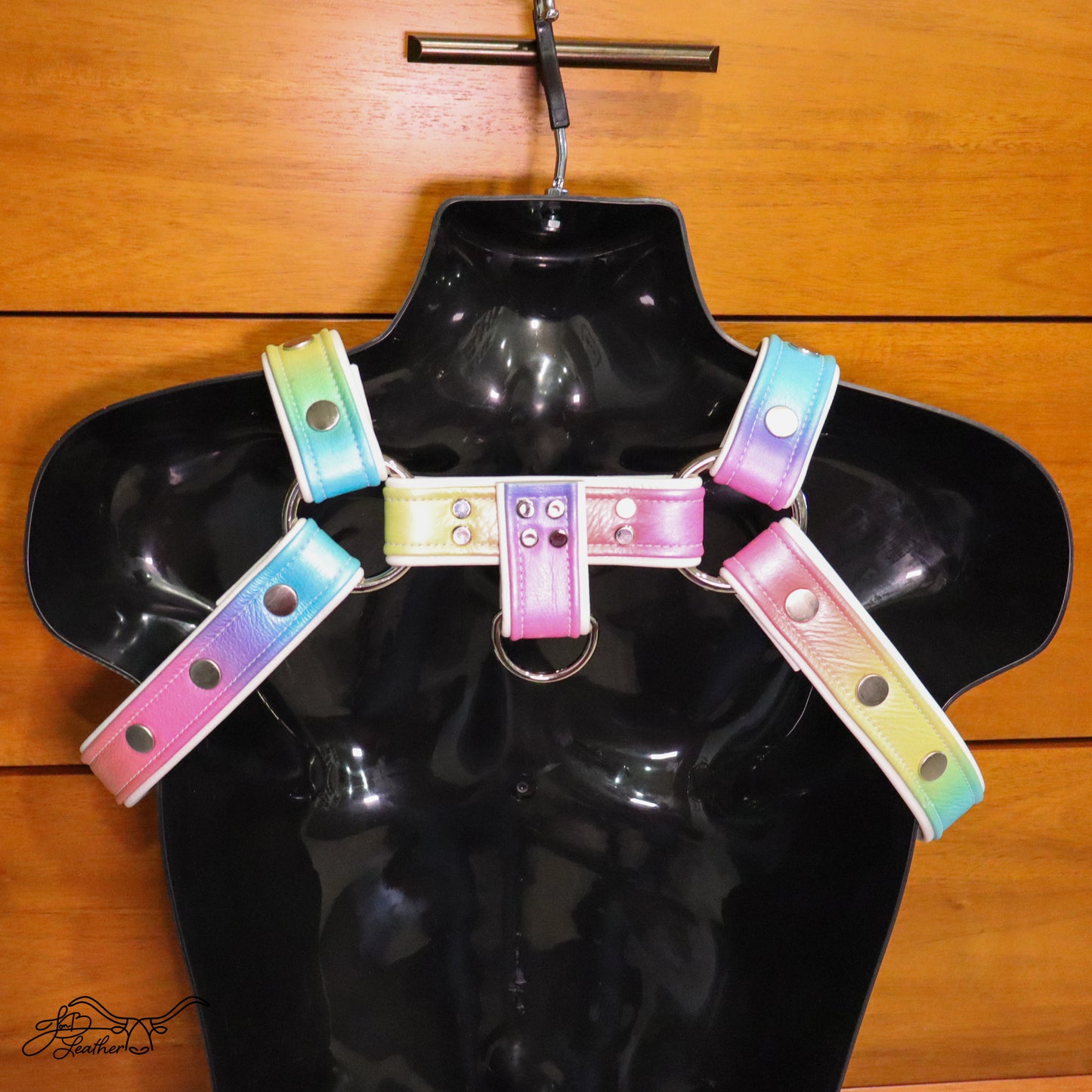 Rainbow Pride Harness