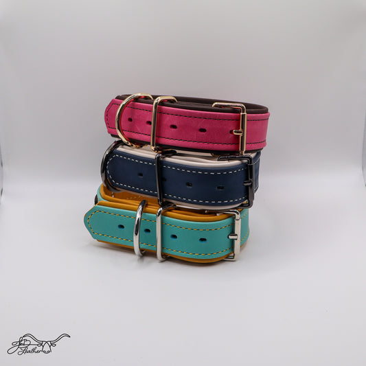 Premium Pet Collar