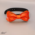  Orange Alligator