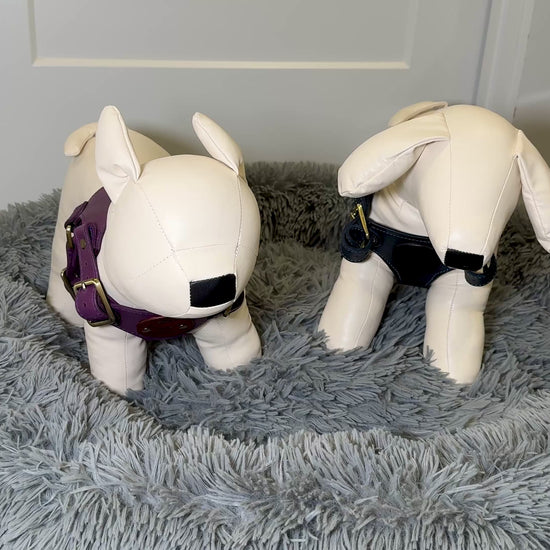 Premium Leather Pet Harness Jon B Leather