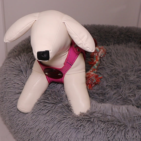 Sport Pet / Dog Harness Jon B Leather